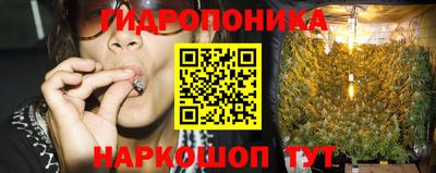 эйфоретик Ставрополь